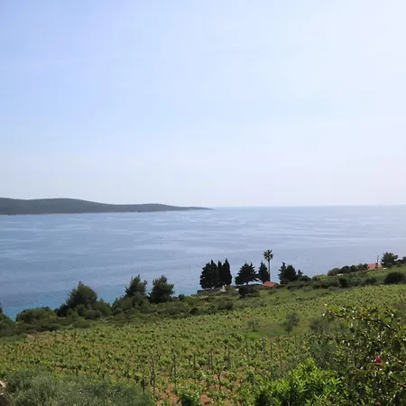 With A Parking Space Zavala, Hvar - 8773 Apartman Zavala