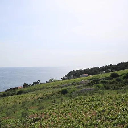 Apartman With A Parking Space Zavala, Hvar - 8773 Zavala